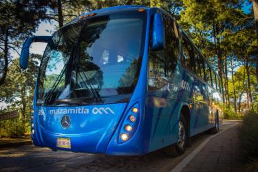 Bus Exterior Bus Exterior