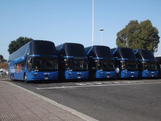 Buses Buses