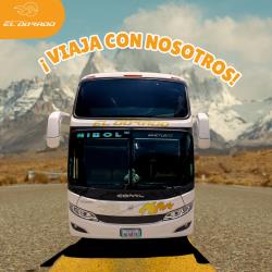 Bus exterior Bus exterior