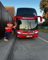 Bus Exterior Bus Exterior