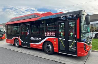 Bus Exterior Bus Exterior