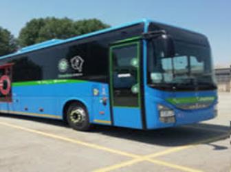 Bus exterior Bus exterior