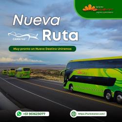 Bus interior Bus interior