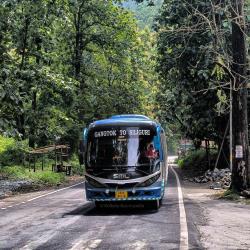Bus Front Bus Front