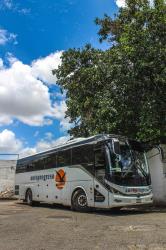 Bus Exterior Bus Exterior