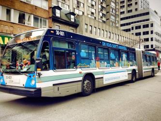 Bus exterior Bus exterior