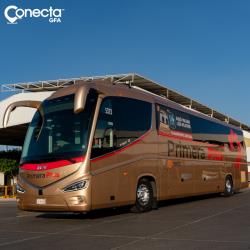 Bus exterior Bus exterior