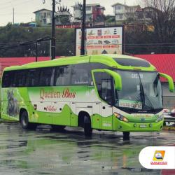 Bus exterior Bus exterior