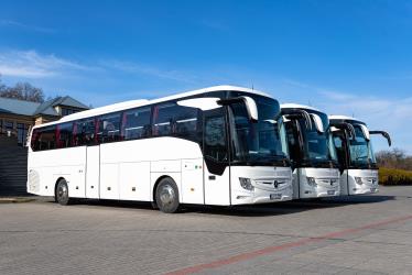 Fleet of buses side view Fleet of buses side view