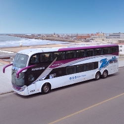 Bus Exterior Bus Exterior