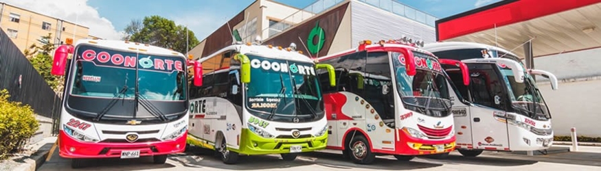 Bus fleet Bus fleet