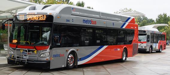 Bus Exterior Bus Exterior