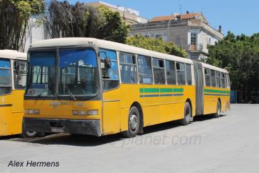 Articulated bus Articulated bus