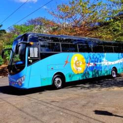 Bus exterior Bus exterior