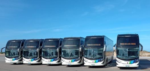 Bus Fleet Bus Fleet