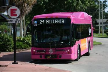 Bus exterior Bus exterior