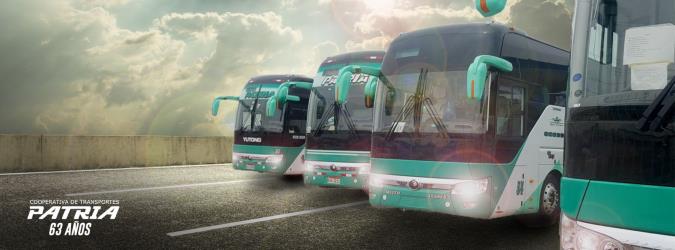 Bus fleet Bus fleet