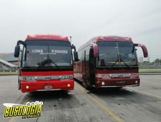 Bus exterior Bus exterior