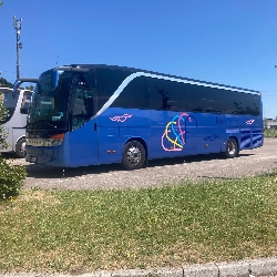 Bus exterior Bus exterior
