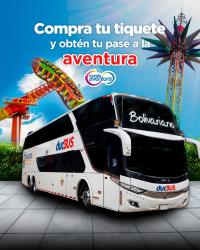 Bus exterior Bus exterior