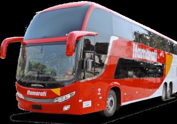 Bus exterior Bus exterior