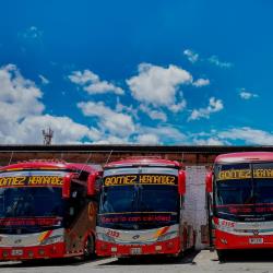 Bus Fleet Bus Fleet