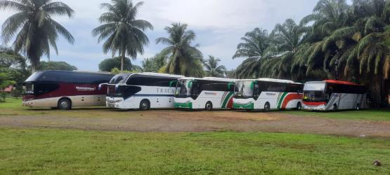 Bus exterior Bus exterior