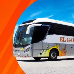 Bus Exterior Bus Exterior