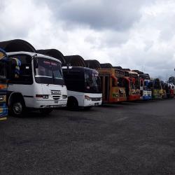 Bus Fleet Bus Fleet