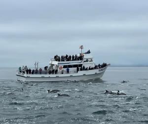 Island Packers Ferry Exterior Island Packers Ferry Exterior