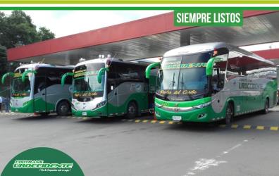 Bus Fleet Bus Fleet