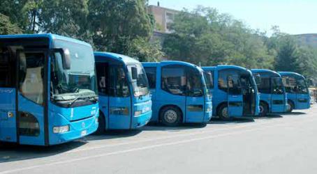 Fleet of buses Fleet of buses