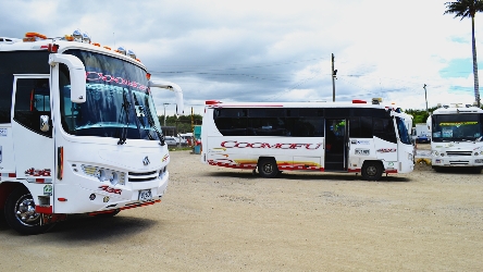 Bus fleet Bus fleet
