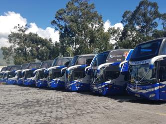 Buses Fleet Buses Fleet