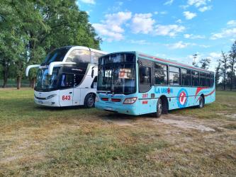 Bus Fleet Bus Fleet