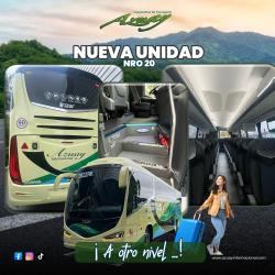 Bus Bus