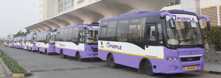 Purple Bus Purple Bus
