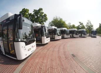Seven new buses in Campo Marzio 2017 Seven new buses in Campo Marzio 2017