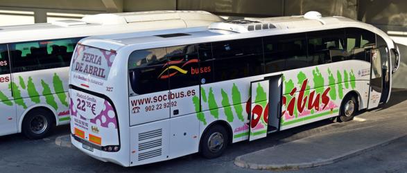Bus rear and side view Bus rear and side view
