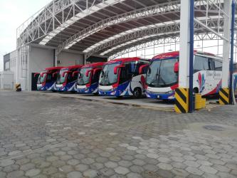 Bus fleet Bus fleet