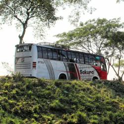 Bus Side Profile Bus Side Profile