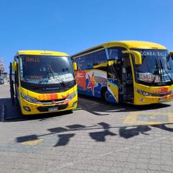 Bus exterior Bus exterior