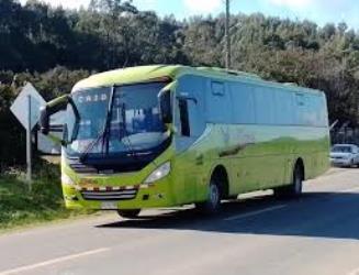 Bus exterior Bus exterior