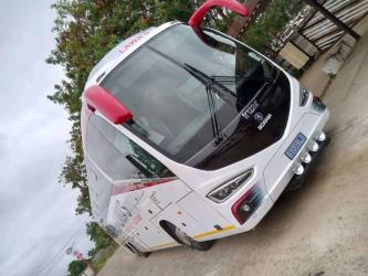 Bus Exterior Bus Exterior