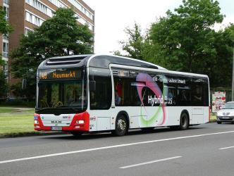 MAN Lion's City Hybrid on Line 146 MAN Lion's City Hybrid on Line 146