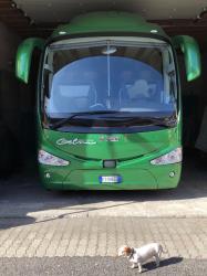 Irizar i6: retro Irizar i6: retro