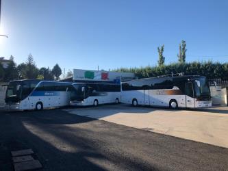 Side view of three buses Side view of three buses