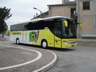 Prontobus Prontobus