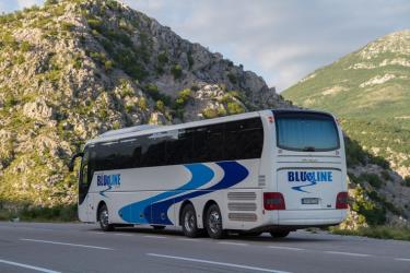 Bus side and rear view Bus side and rear view