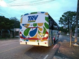 Bus exterior Bus exterior